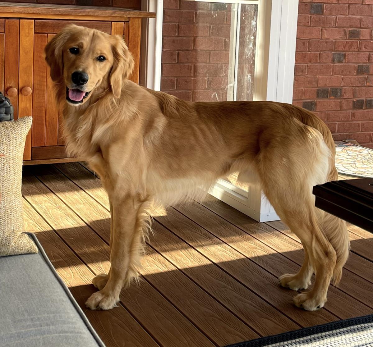 Benny 2