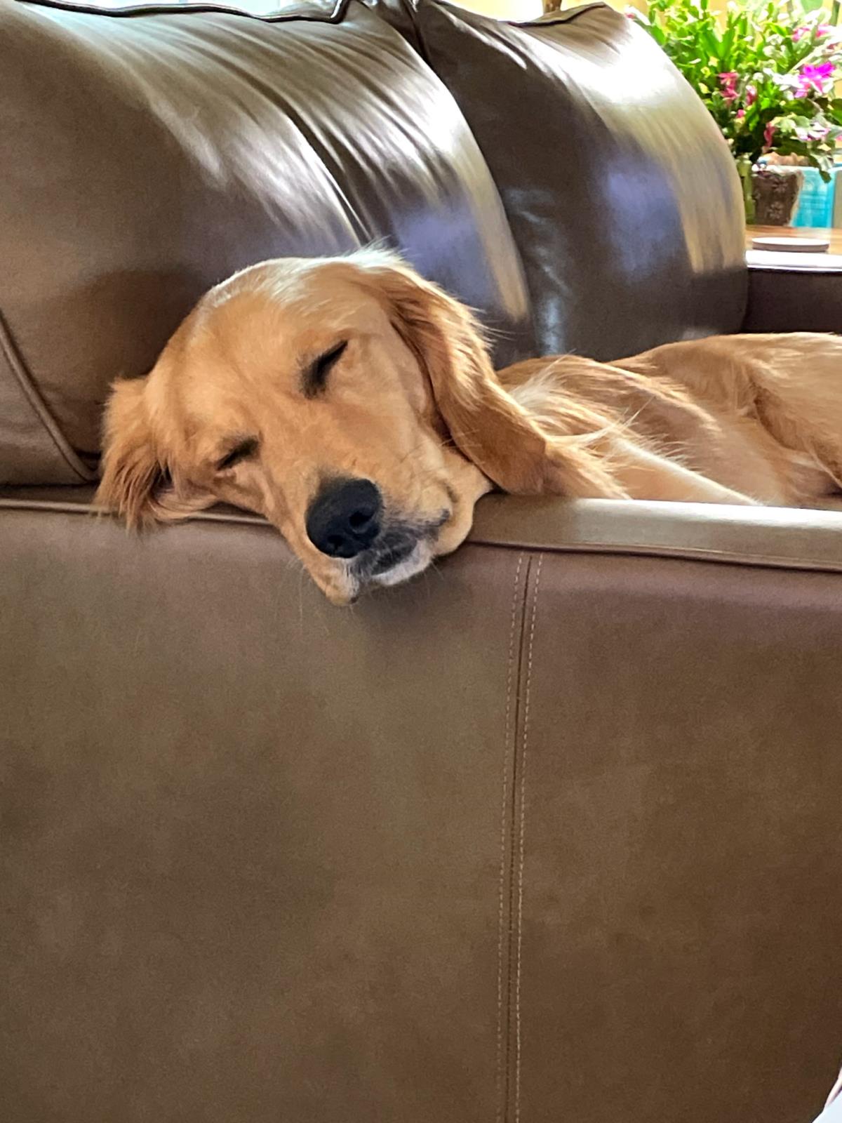 Benny 2