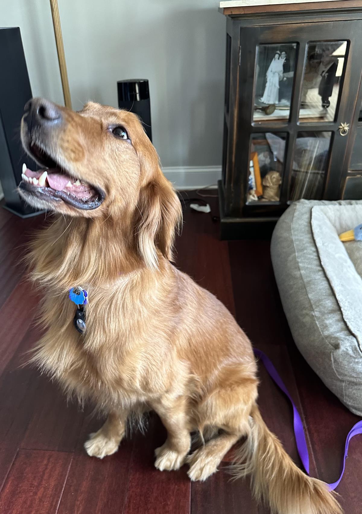 Charlie 8