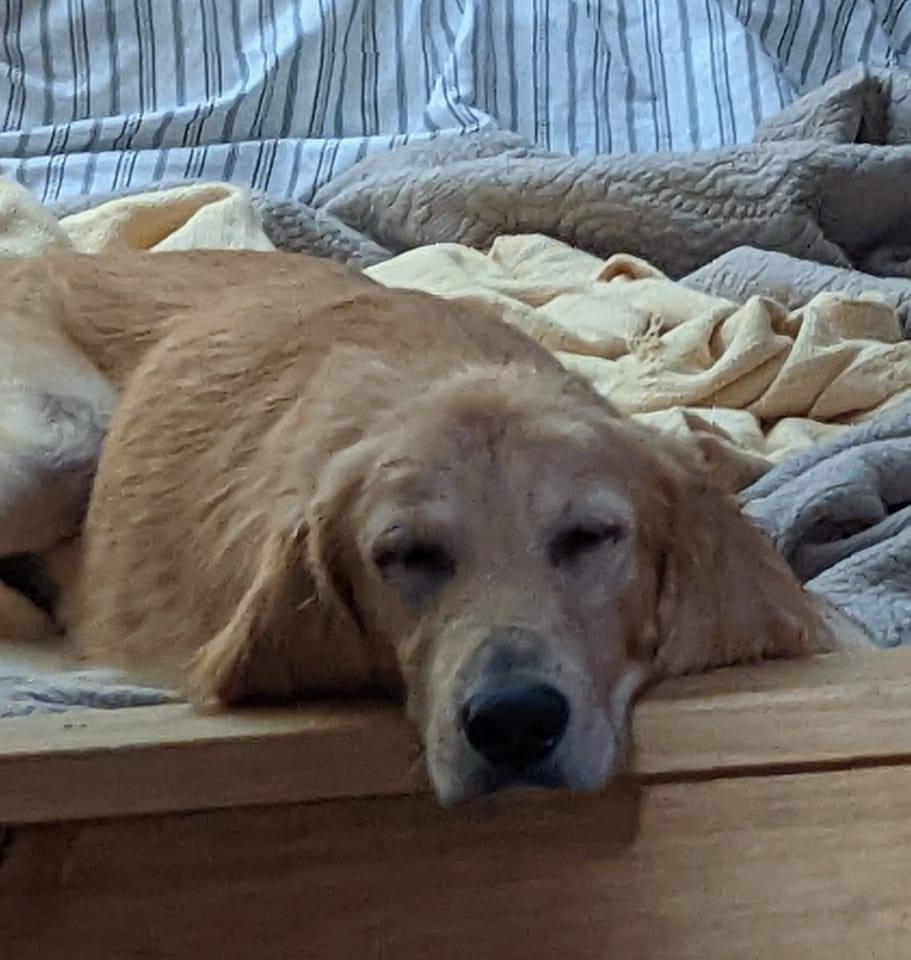 Eugene
