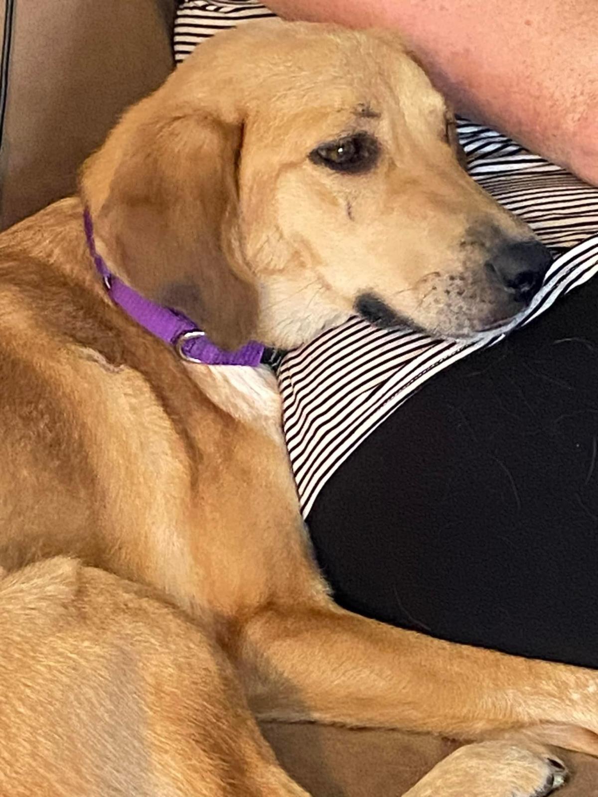Sadie 7