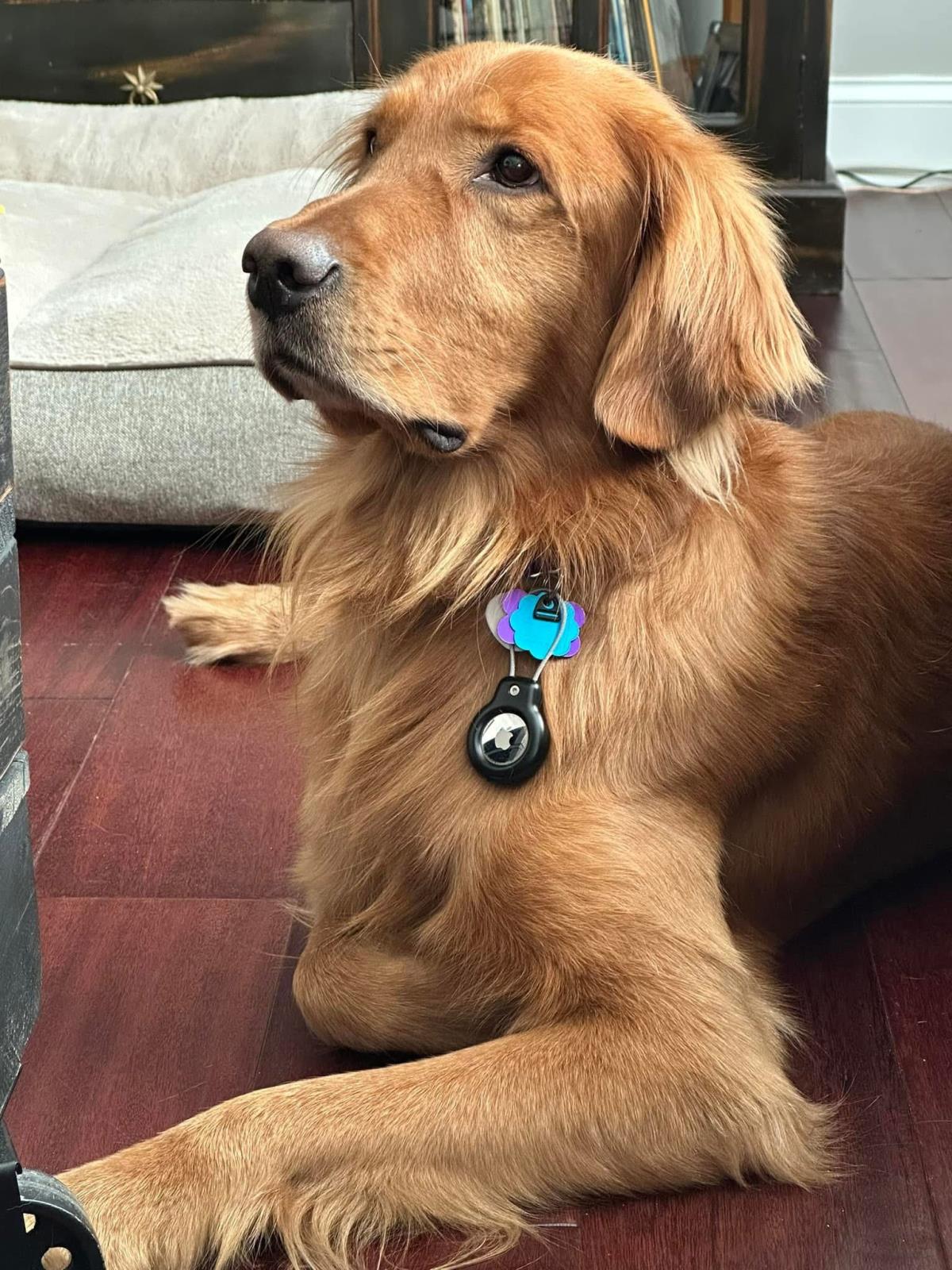 Charlie 8