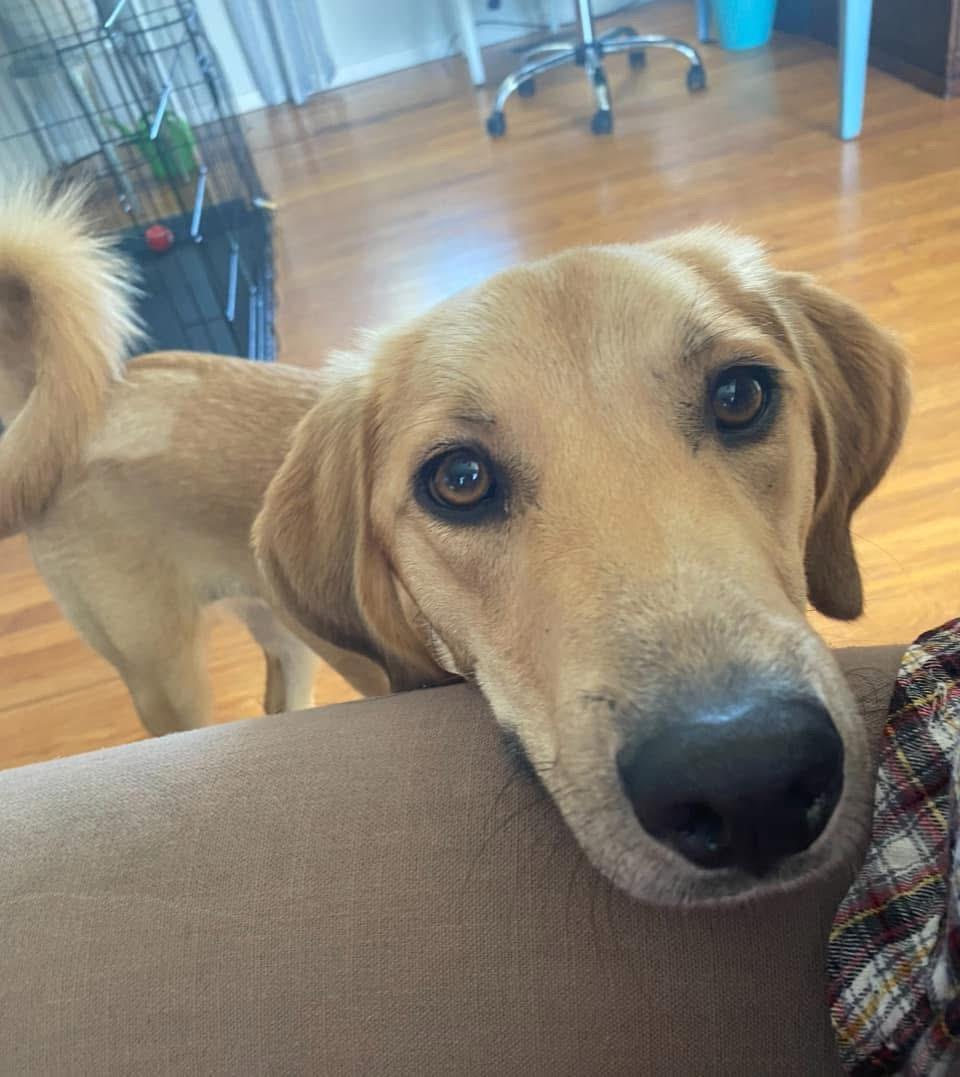 Sadie 7