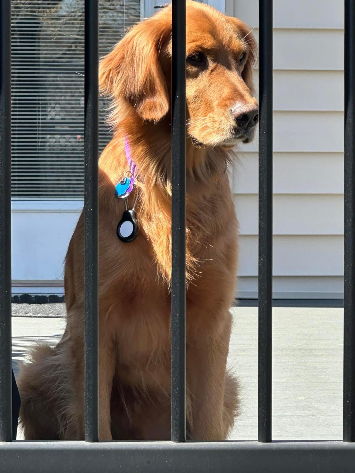 Charlie 8