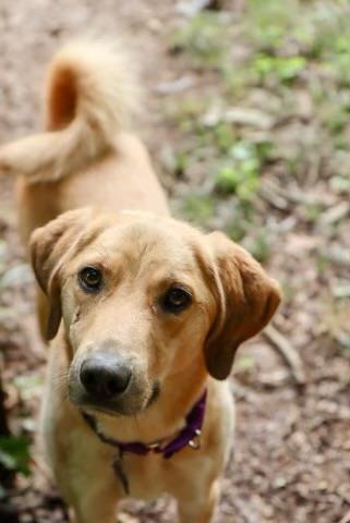 Sadie 7
