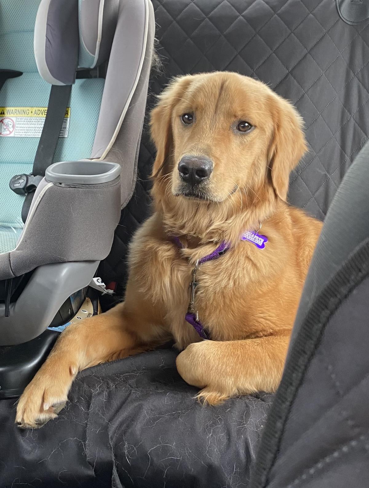 Koda