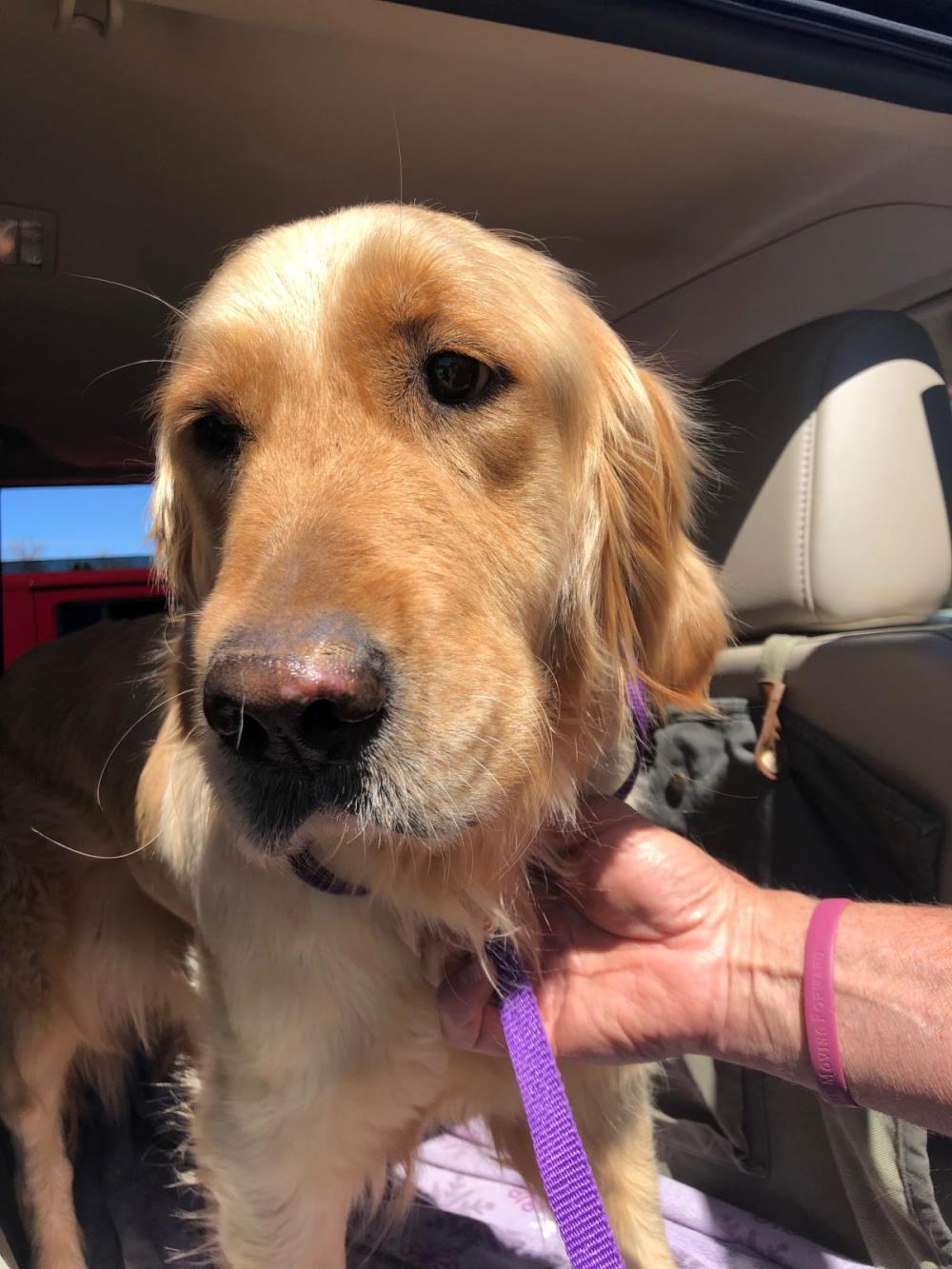 Oakley #2021-025: Female Dog