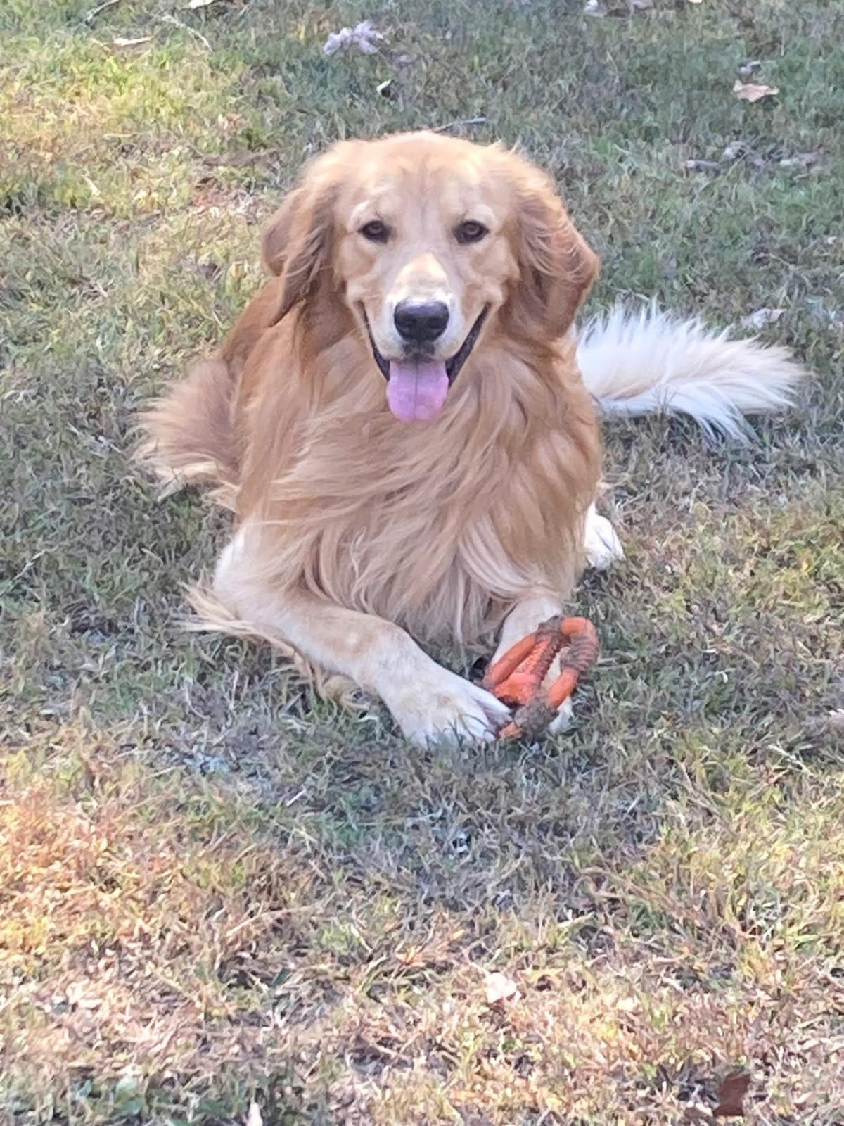 Sawyer 2